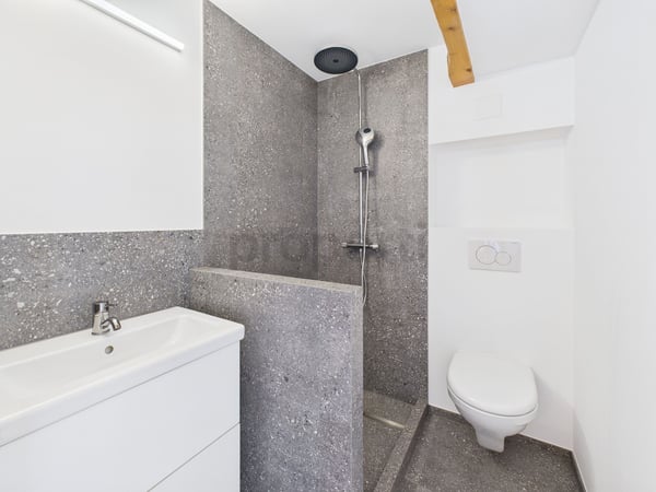 Charmante 1.5-Zimmer Wohnung mit Galerie und Seeblick in Twann 11