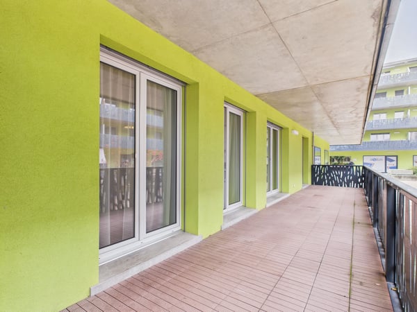 Appartement moderne et spacieux à Vernier 11