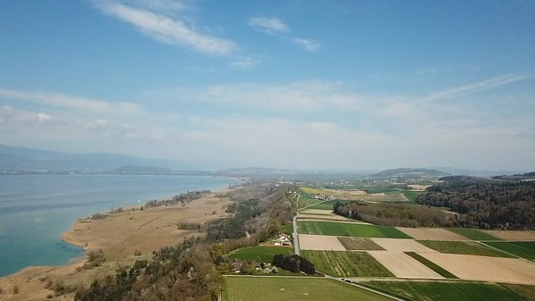 Einmalige Gelegenheit: Baugrundstück mit Seesicht in Vully-les-Lacs 5