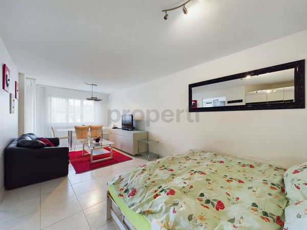 Hervorragende Möblierte 1.5-Zimmer Wohnung in Buchs, Zürich 1