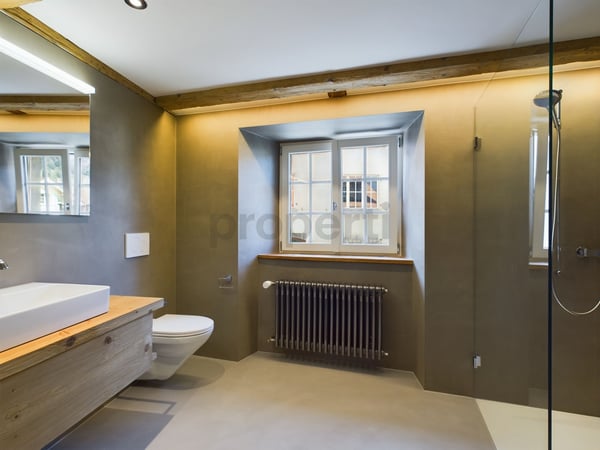 Exklusive Doppelhaushälfte mit sonnigem Sitzplatz 9