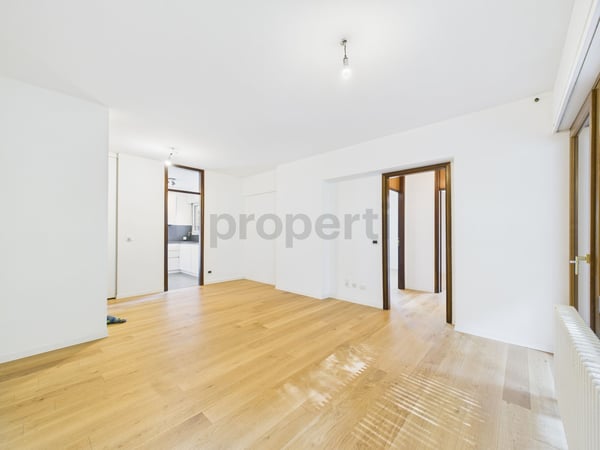 Splendido Appartamento rinnovato 1.5 locali con vista lago 1