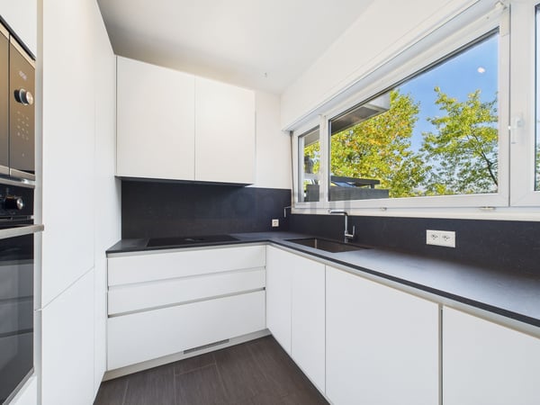 Splendido Appartamento rinnovato 1.5 locali con vista lago 2