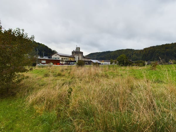 Grundstück in Riedtwil, Seeberg zu verkaufen 5