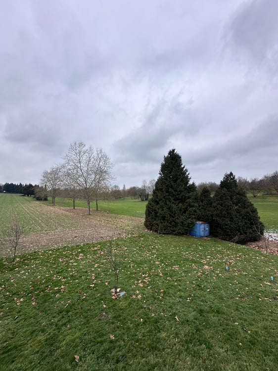 Villa familiale de 4 pièces avec des détails de haute qualité à Payerne 8