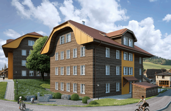 Neubau trifft ländliche Idylle  1.5-Zimmer-Wohnung mit historischem Flair 1