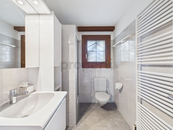 1.5-Zimmer-Einfamilienhaus in Knonau  modernes Wohnen mit Gartenidylle 11