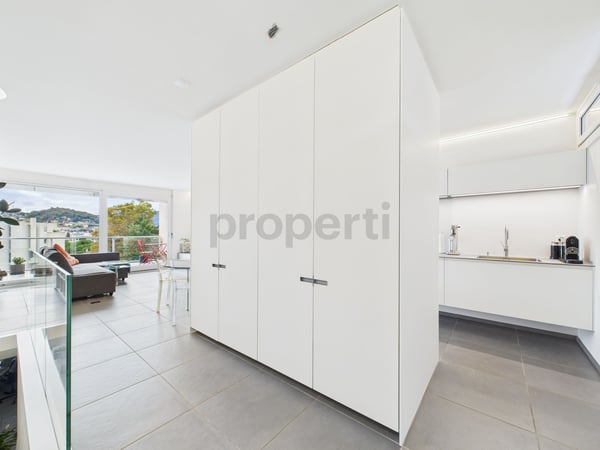 Attico Duplex Ristrutturato a Massagno  residenza primaria e secondaria 2