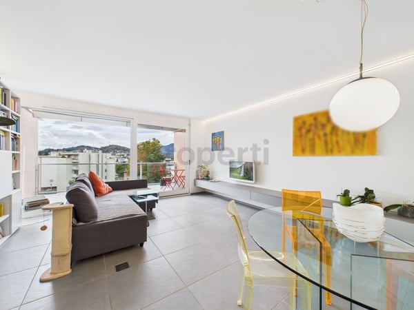 Attico Duplex Ristrutturato a Massagno  residenza primaria e secondaria 1