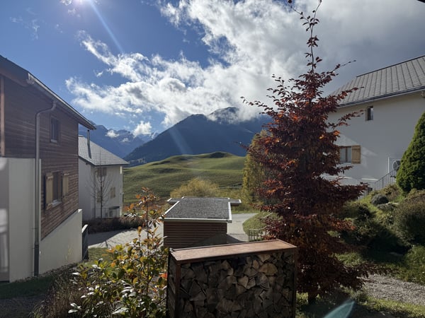 Moderne 1.5 Zimmer Wohnung mit grosszügigem Gartensitzplatz in Vattiz - der perfekte Zweitwohnsitz im Val Lumnezia 11