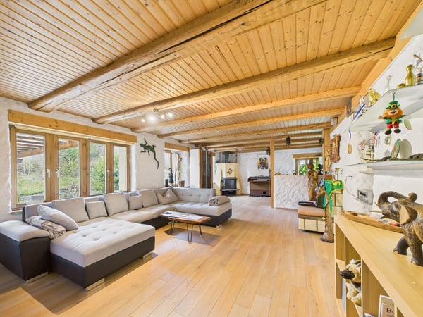 Grosszügiges Einfamilienhaus mit Garten in Koblenz 2