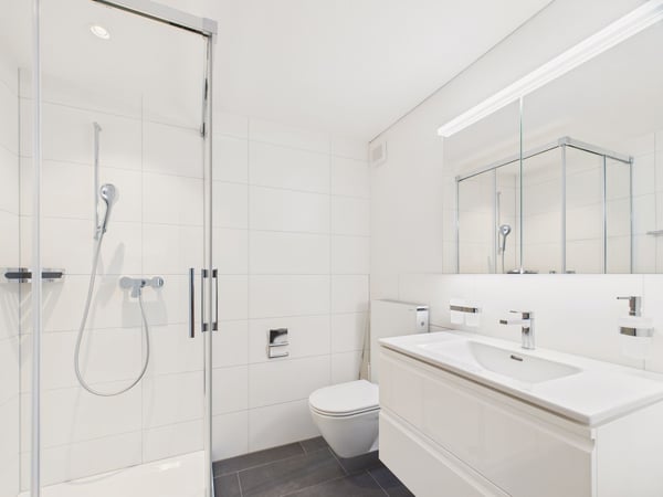 Hervorragende 3-Zimmer-Wohnung in St. Gallen, Kanton SG 9