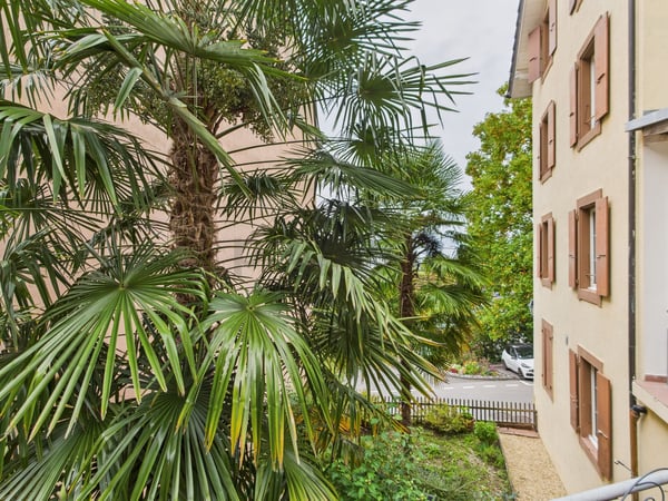 Immeuble de 3 appartements à Veytaux  Une opportunité à saisir 9