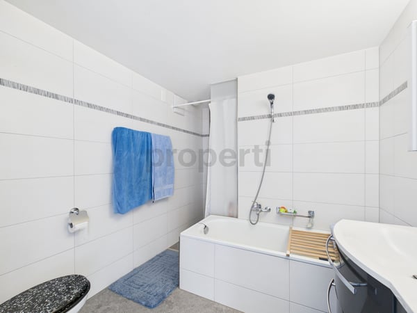 Vielseitiges 2-Zimmer-Einfamilienhaus in Widen (ideal für Wohnen und Büro) 11