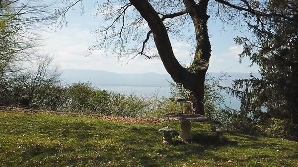 Einmalige Gelegenheit: Baugrundstück mit Seesicht in Vully-les-Lacs 1