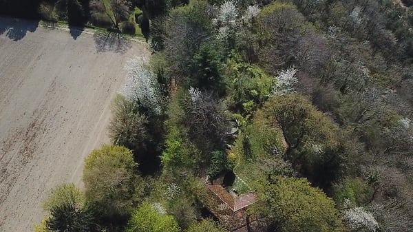 Einmalige Gelegenheit: Baugrundstück mit Seesicht in Vully-les-Lacs 6