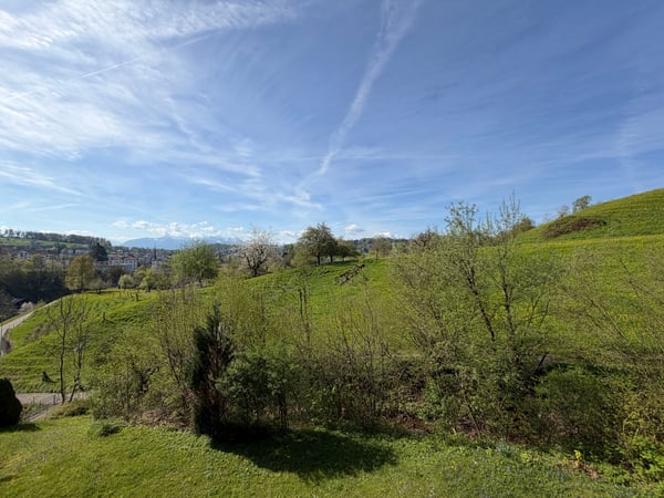 Modernes 4.5-Zimmer-Apartment mit Balkon in Wald 7