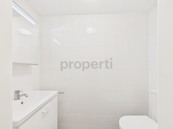 Appartement rénové 3.5 pièces avec balcon, Chamoson 10