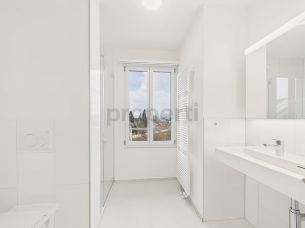 Erstvermietung nach hochwertiger Renovation: Modernes 6-Zimmer-Einfamilienhaus mit Keller und Ladestation in Niederuzwil 11