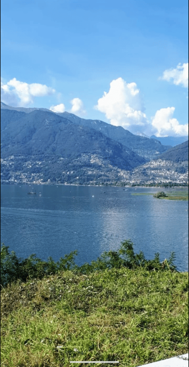 Terreno edificabile con vista panoramica sul Lago Maggiore e sulle montagne 1