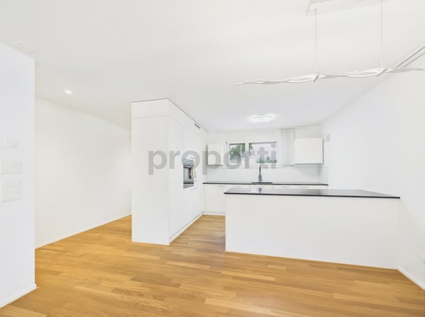 Modernes 5.5-Zimmer-Reihenhaus mit Minergie-Standard und Einstellhalle, Hüttikon 4