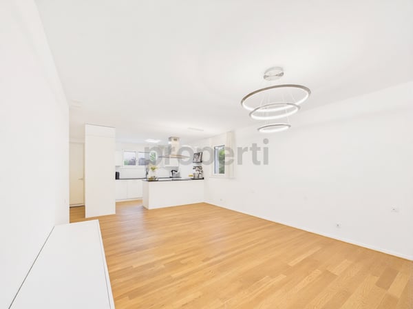 Modernes 5.5-Zimmer-Reihenhaus mit Minergie-Standard und Einstellhalle, Hüttikon 2