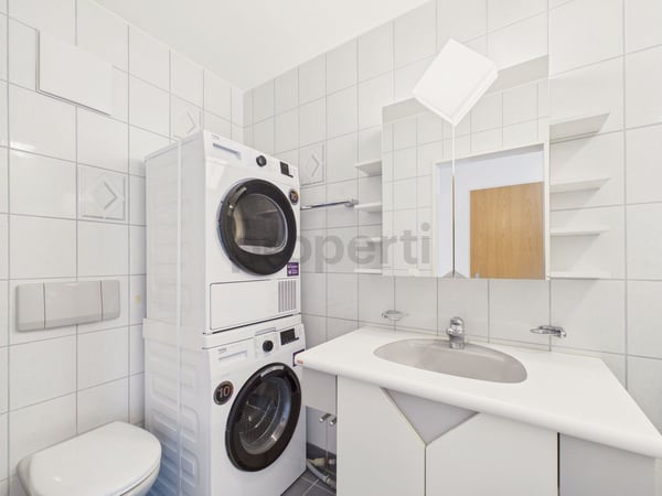 Neu renovierte 4.5-Zimmer-Elegantwohnung mit eigenem Parkplatz, Bubendorf 12