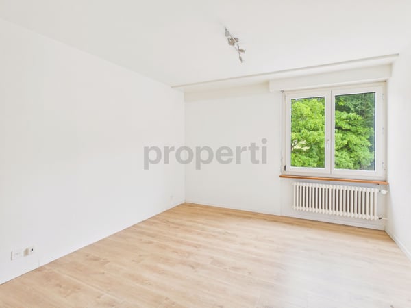 Modern 3.5-Zimmer-Wohnung mit aktuellem Renovationsstandard, Lustmühle 8