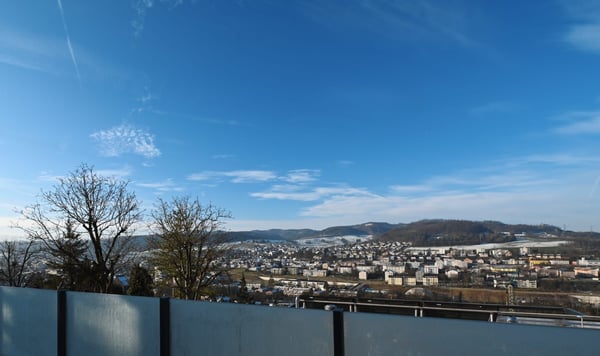 Freistehendes 6.5-Zimmer-Einfamilienhaus mit Weitblick (Baujahr 2017) 12