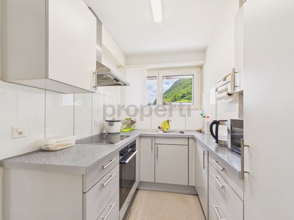 Helle und grosszügige Wohnung mit sonnigem Balkon 2