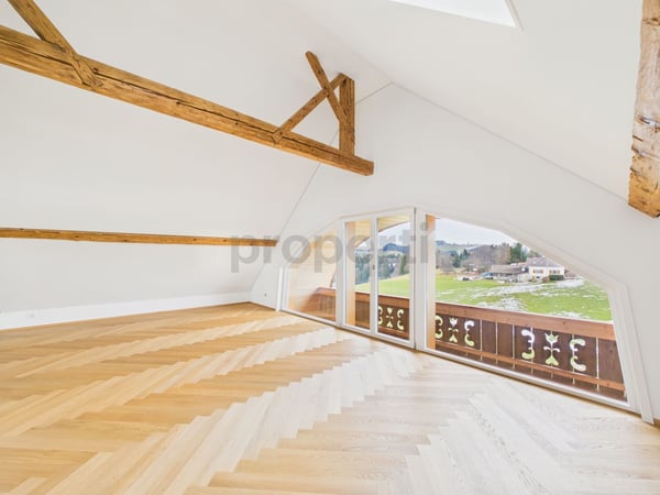 Loft in Eigentumsstandard - neu saniert 1