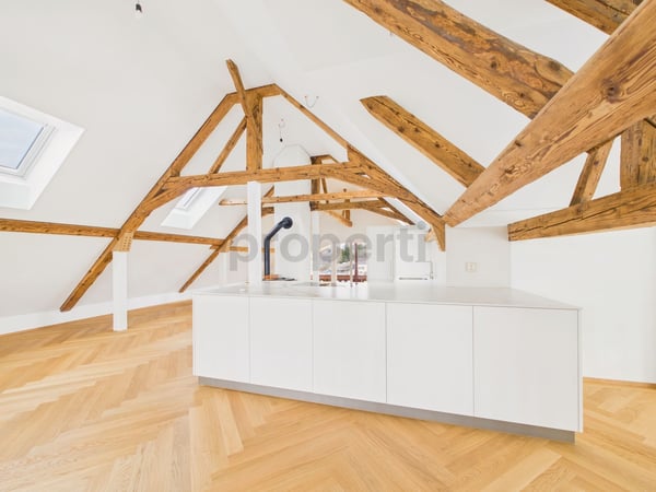 Loft in Eigentumsstandard - neu saniert 6