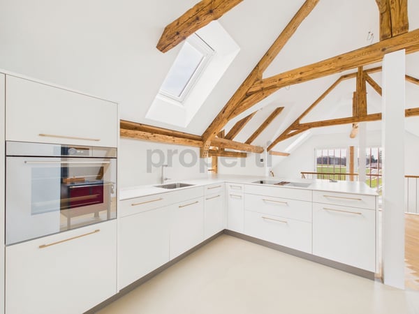 Loft in Eigentumsstandard - neu saniert 4