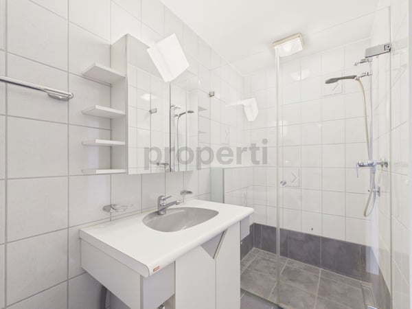 Neu renovierte 4.5-Zimmer-Elegantwohnung mit eigenem Parkplatz, Bubendorf 10