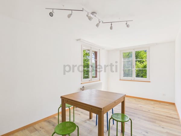 Neu renovierte 4.5-Zimmer-Eigentumswohnung mit Keller, Amriswil 4
