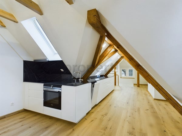 Neu renovierte 2-Zimmer-Elegantwohnung mit Kellerraum, Illnau-Effretikon 2