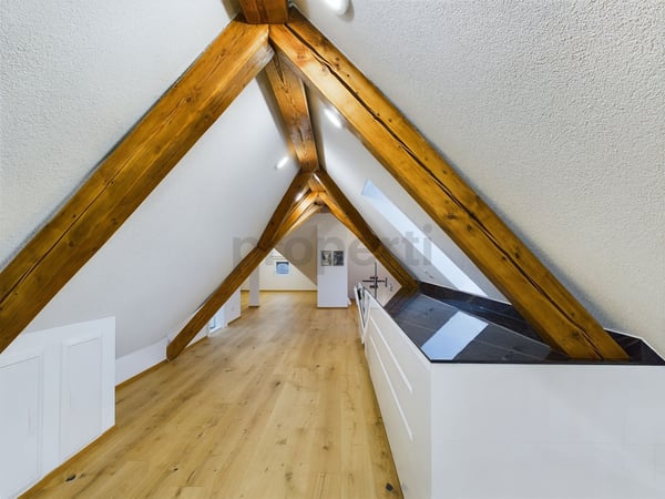 Neu renovierte 2-Zimmer-Elegantwohnung mit Kellerraum, Illnau-Effretikon 4