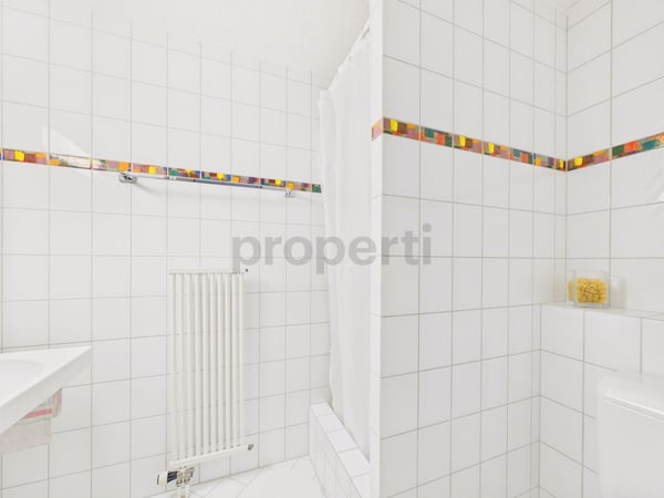 Grosszügige Attikawohnung mit Dachterrasse 10