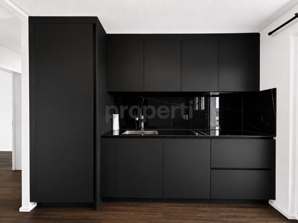 Einmalige Chance mit Seesicht: 1.5-Zimmer-Wohnung mit Potenzial in Nottwil 4