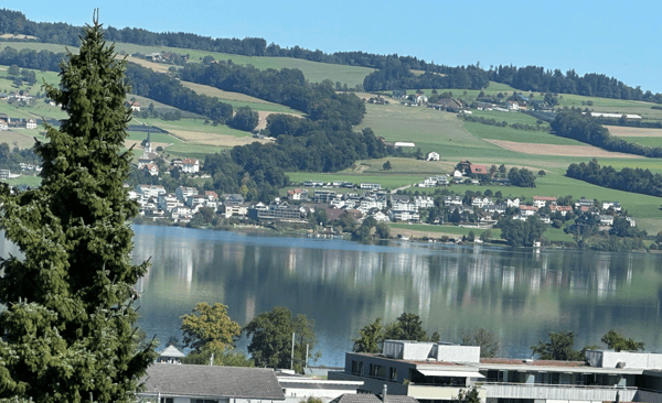 Einmalige Chance mit Seesicht: 1.5-Zimmer-Wohnung mit Potenzial in Nottwil 7