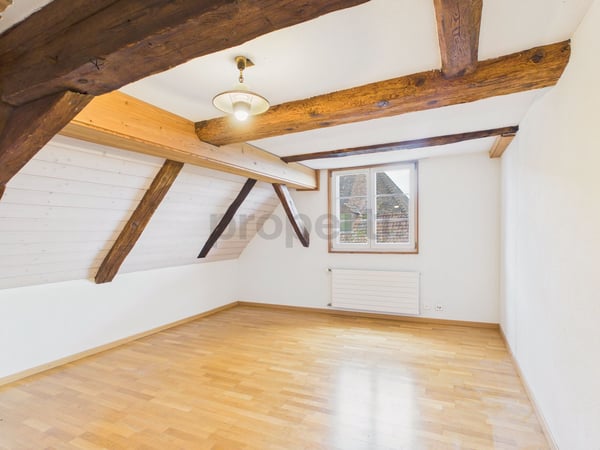 Historischer Zauber trifft auf moderne Eleganz - Ihr neues Zuhause in Rudolfingen 7