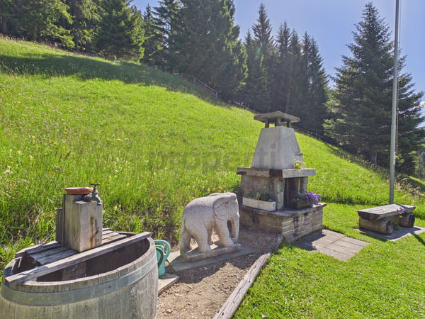 Charmantes Maiensäss mit herrlichem Bergblick und grosszügigem Grundstück 11