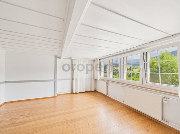 Charmantes Einfamilienhaus mit viel Platz und historischem Flair in Ebnat-Kappel 1