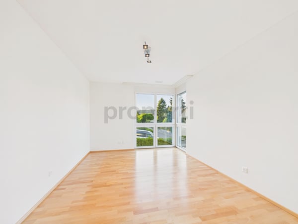 Moderne 4.5-Zimmer-Wohnung mit Balkon, Dachsen 6