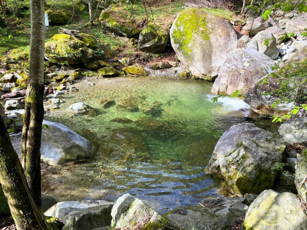 Terreno edificabile con piscina naturale a Giornico - Residenza primaria 2