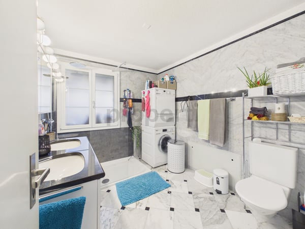 Einzigartige Maisonettewohnung mit Wintergarten und Cheminée in Amlikon-Bissegg 6