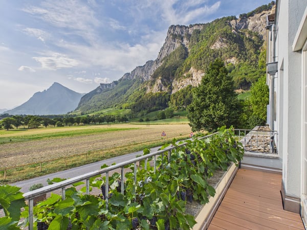 Traumhafte 4.5-Zimmer-Wohnung mit Wintergarten, Terrasse und Weitblick in Fläsch 6