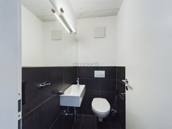 Modernes 5.5-Zimmer-Reihenhaus mit Keller, Pieterlen 10