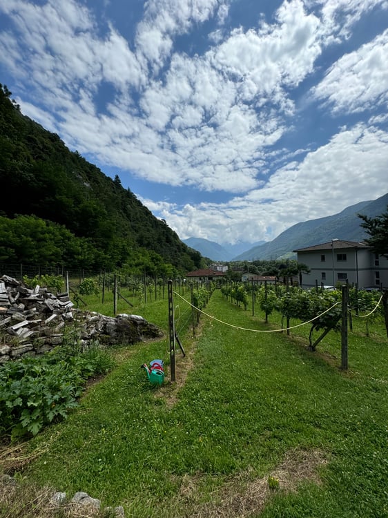 Terreno edificabile pianeggiante in vendita a Cresciano, 6705 Riviera 2