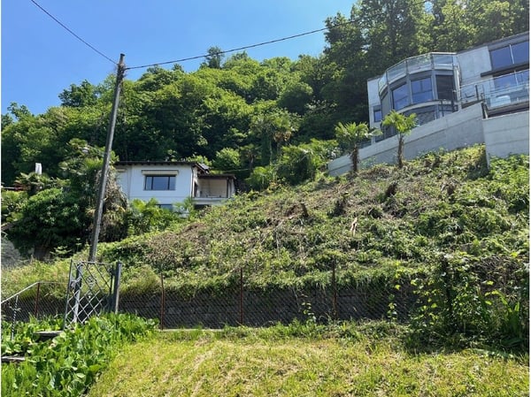 Terreno edificabile con licenza di costruzione in vendita a Gambarogno - un'opportunità unica nel verde del Ticino 2